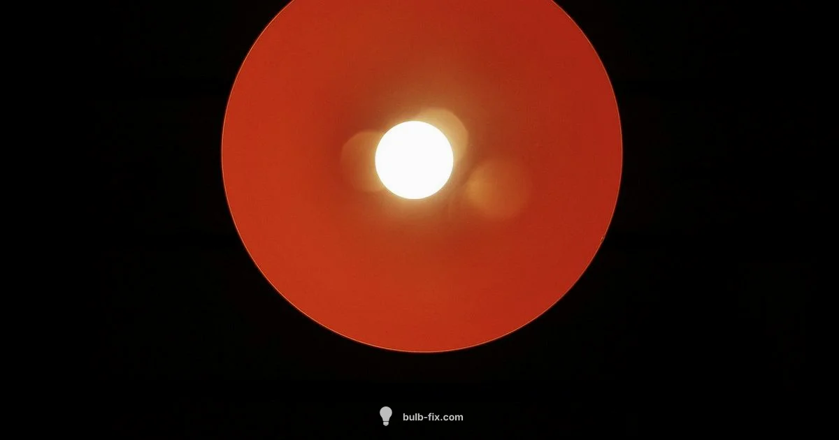 Two Pin Bulbs Guide - Bulb Fix