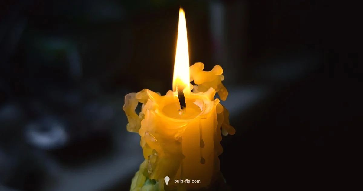 Lava Lamp Bulbs - Bulb Fix