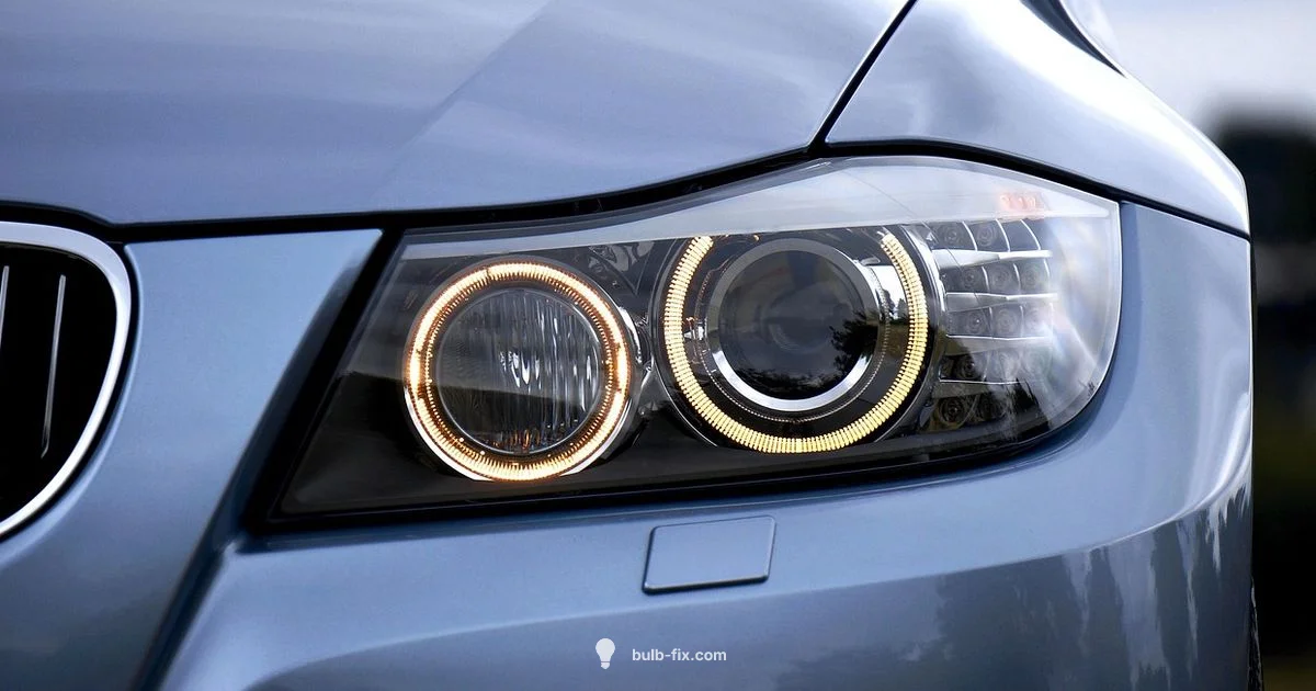 HID Xenon Bulb - Bulb Fix