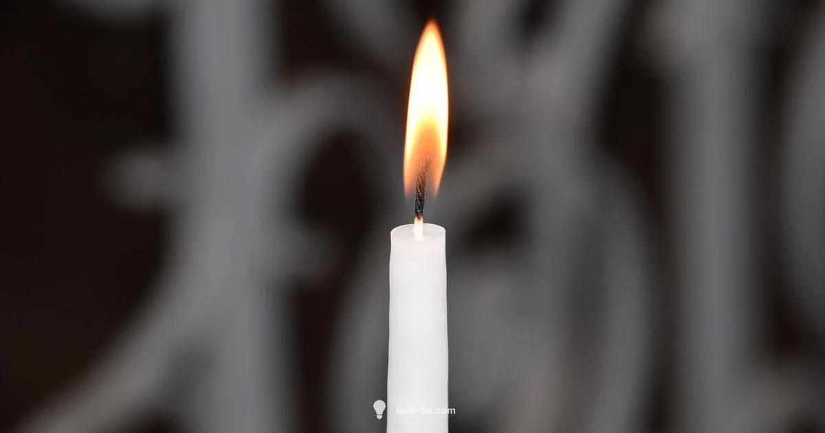 Bulb Replacement Guide - Bulb Fix