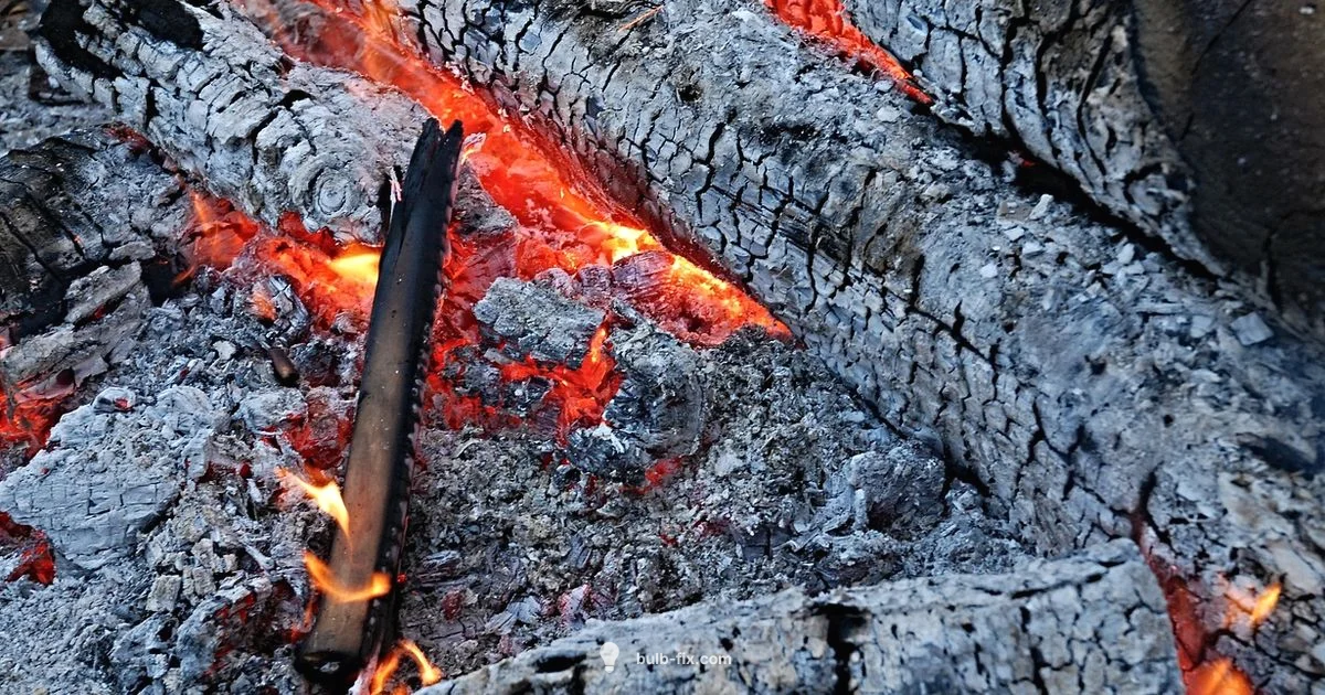 Bulb Replacement Guide - Bulb Fix