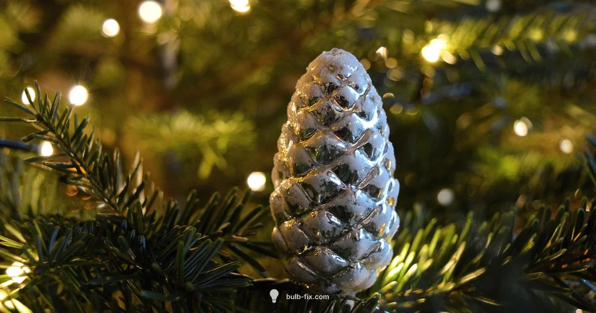 Lights Setup - Bulb Fix