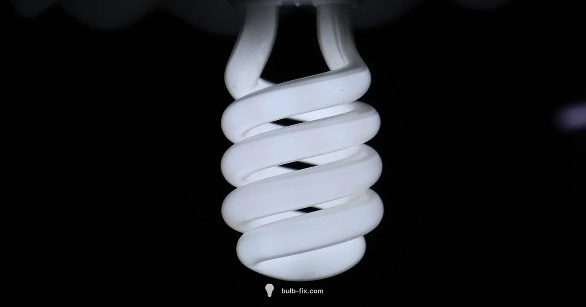 Dimmable Bulbs Guide Dimmable Bulbs Guide - Bulb Fix