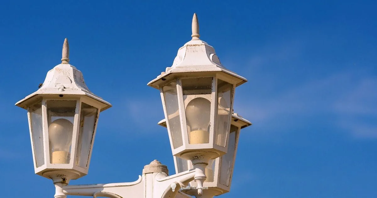 DIY Bulbs DIY Bulbs - Bulb Fix