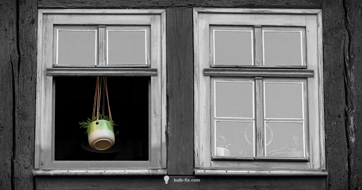 Winter Blooms Guide - Bulb Fix