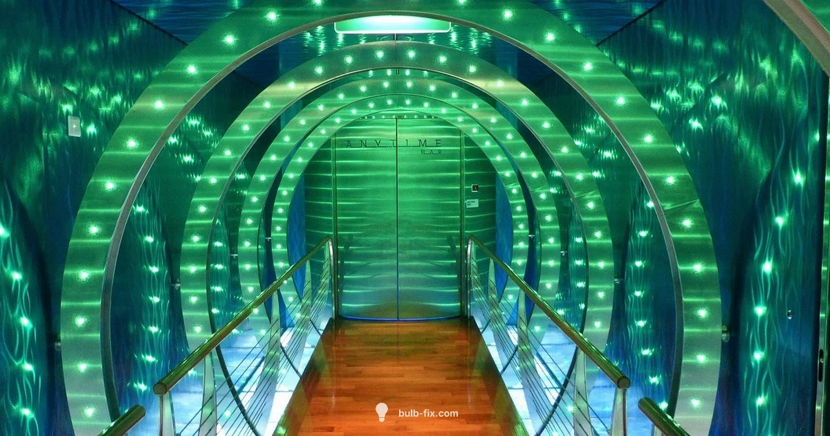 40W vs 60W Guide - Bulb Fix