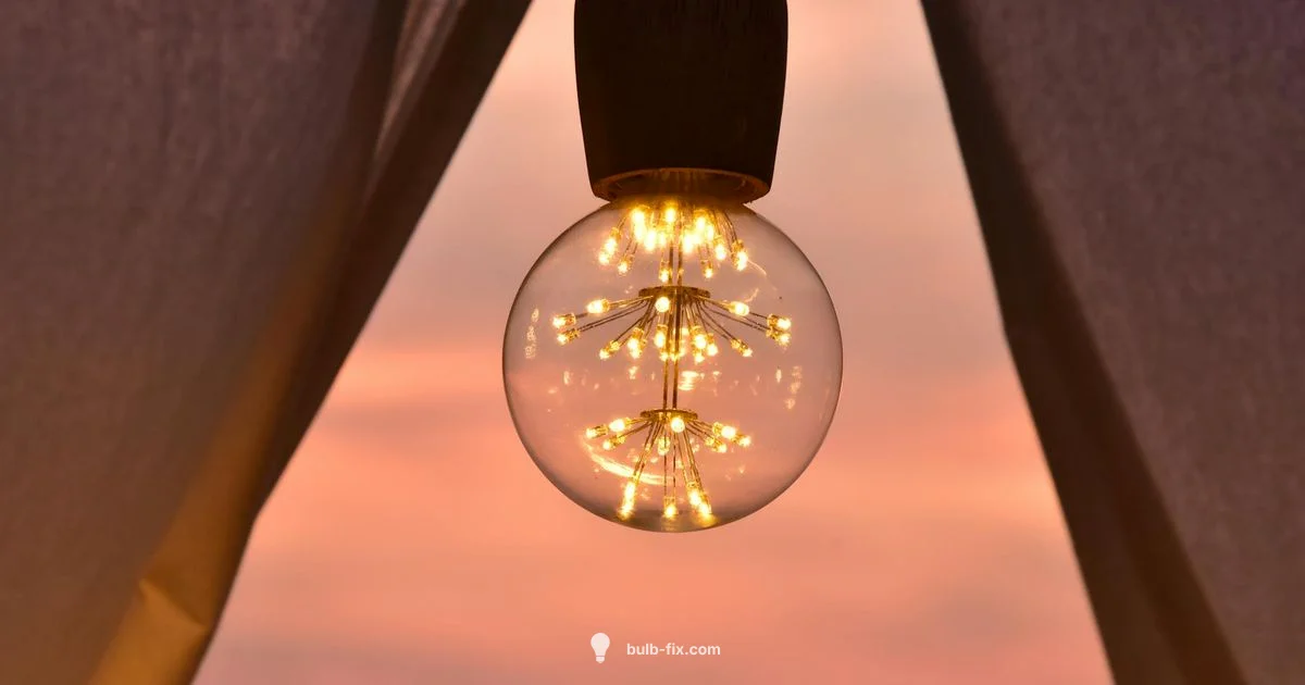 Edison Screw Basics - Bulb Fix