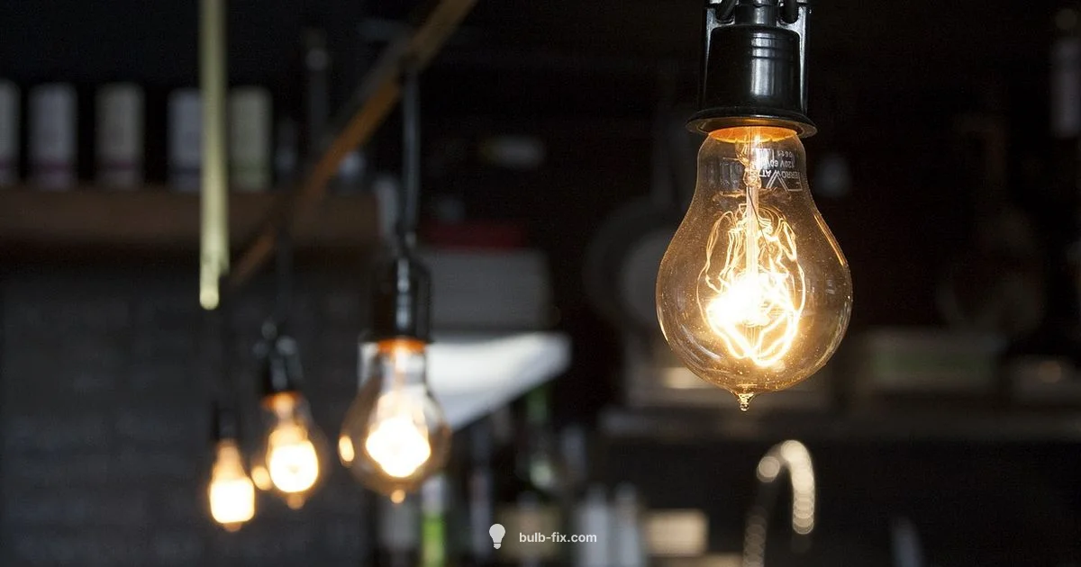 Why Bulbs Matter Why Bulbs Matter - Bulb Fix