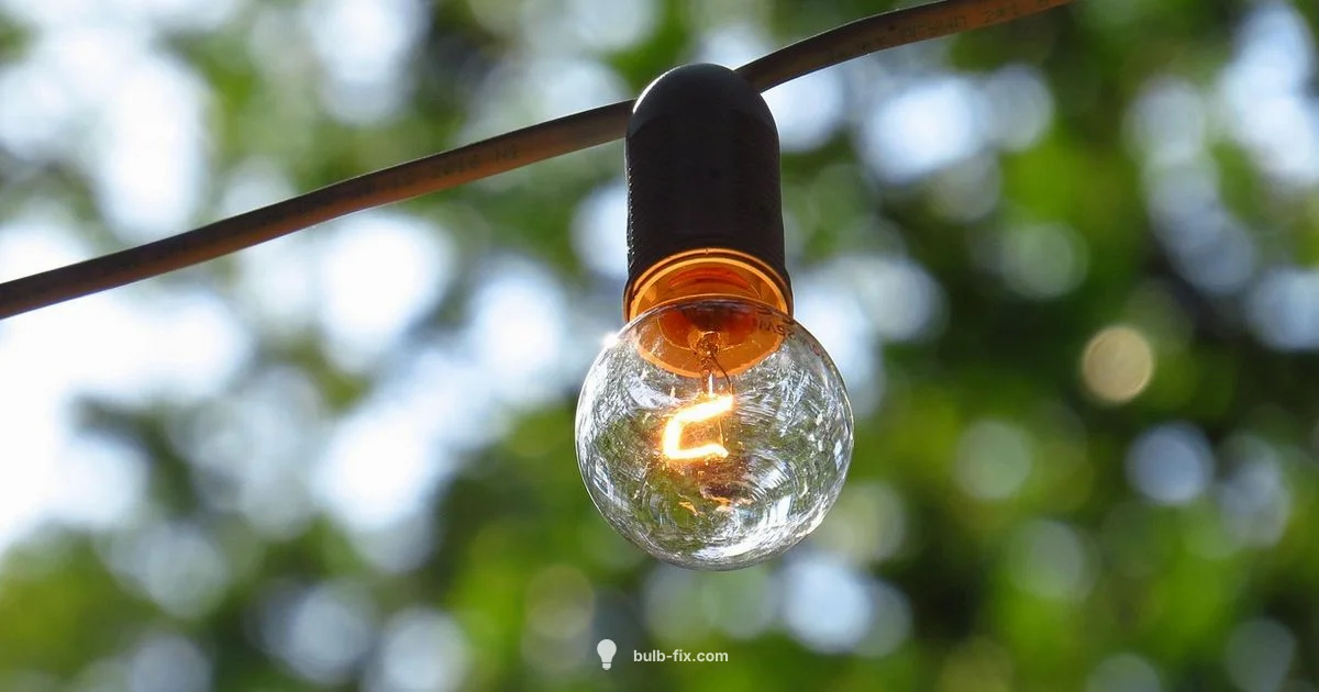 Right Base Size Guide Right Base Size Guide - Bulb Fix