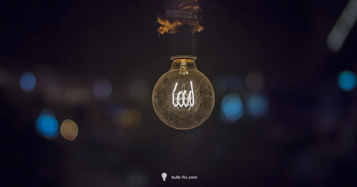 Vintage Edison Bulbs - Bulb Fix