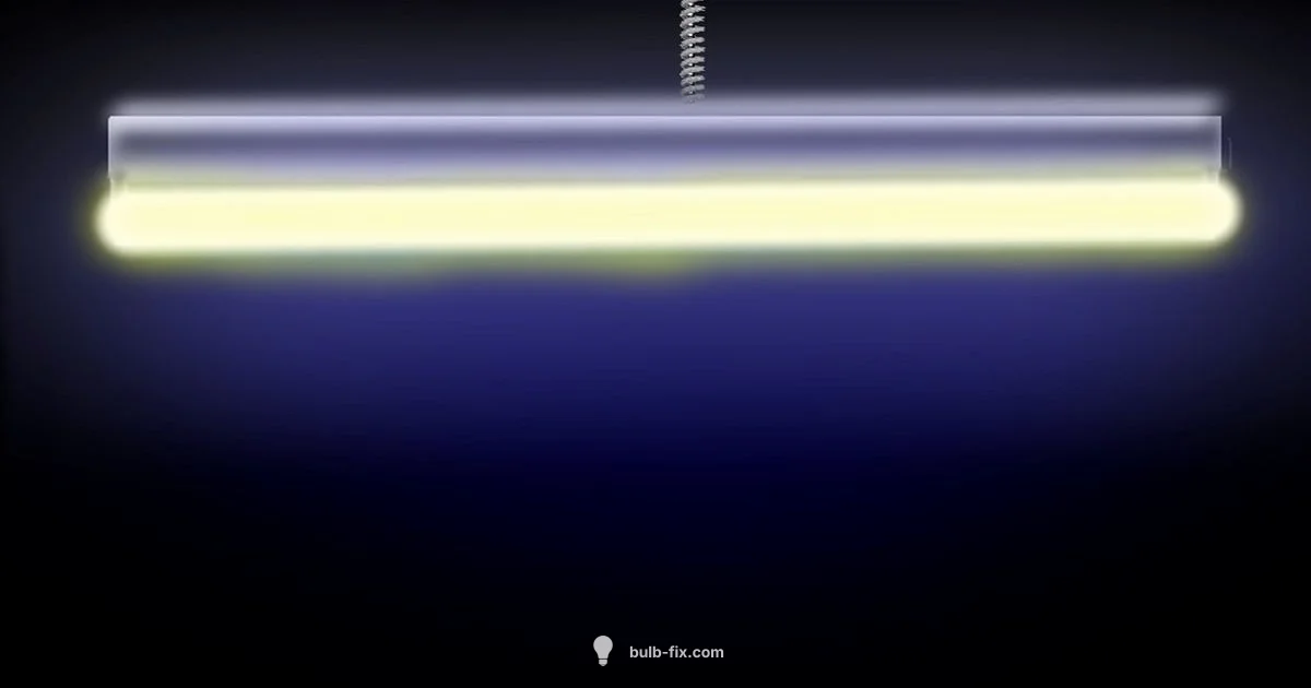 Philips LED Tube Guide - Bulb Fix