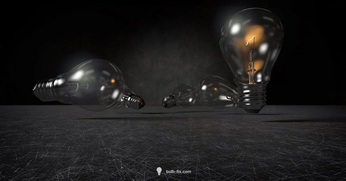 Bright Fix Basics - Bulb Fix