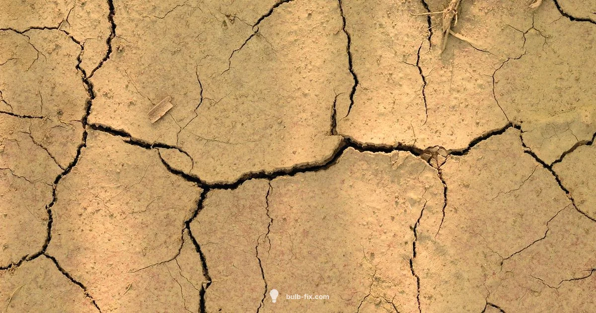 Bulbs Not Roots Bulbs Not Roots - Bulb Fix