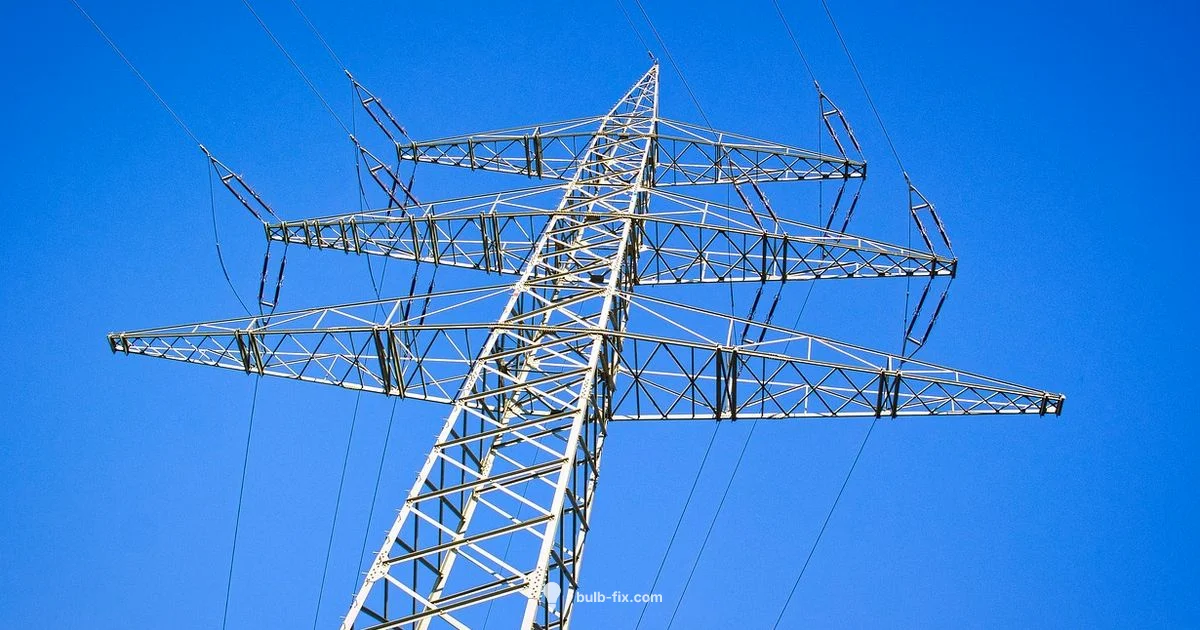 Bulb Changing Pole Bulb Changing Pole - Bulb Fix