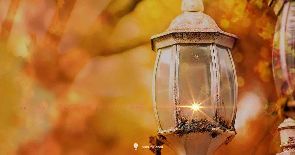 Bayonet Base Bulbs - Bulb Fix