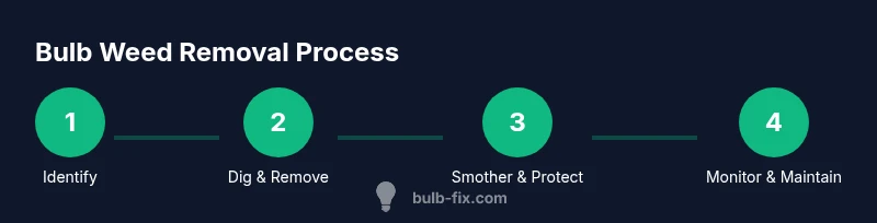 Process infographic showing identification, removal, smothering, and maintenance steps