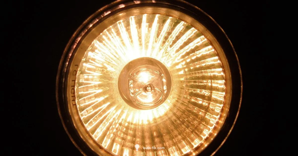 Halogen bulb removal Halogen bulb removal - Bulb Fix