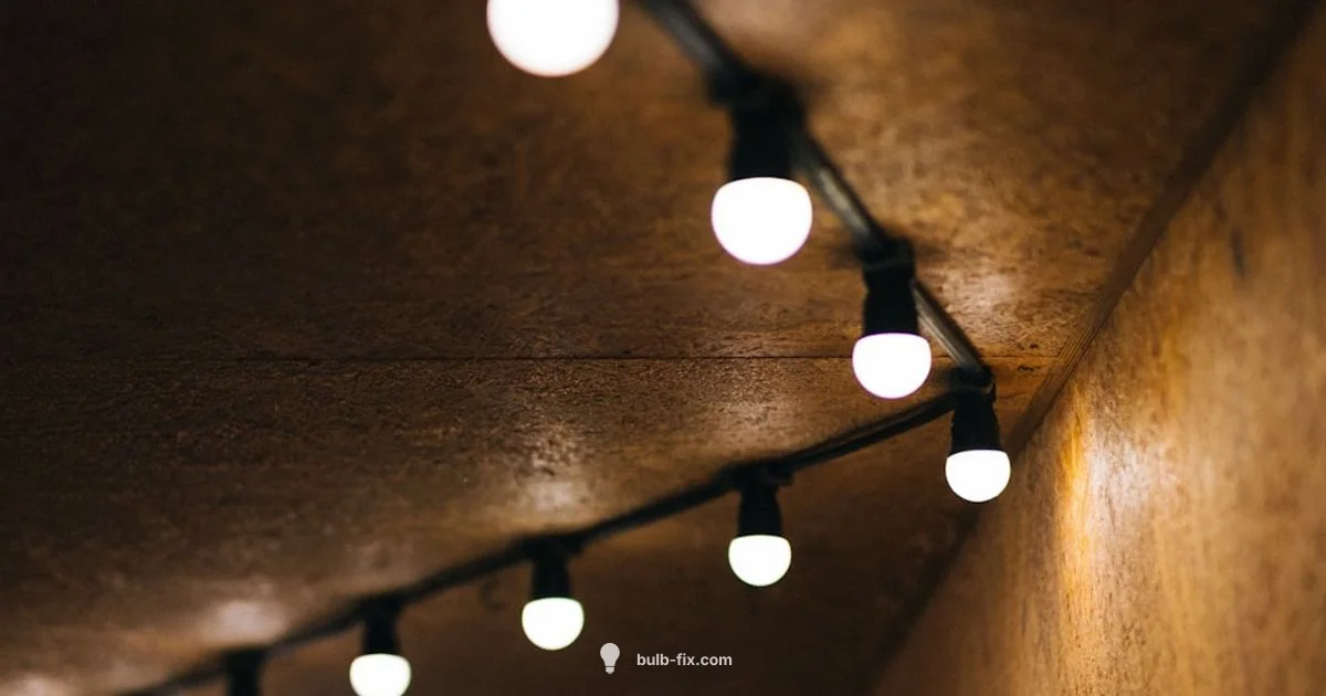 PAR30 LED Guide - Bulb Fix