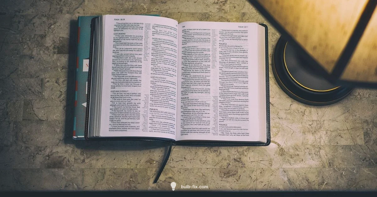 Lamp Lighting Clarity - Bulb Fix