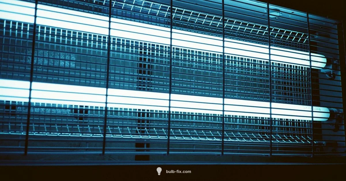 T8 vs T12 Upgrade - Bulb Fix