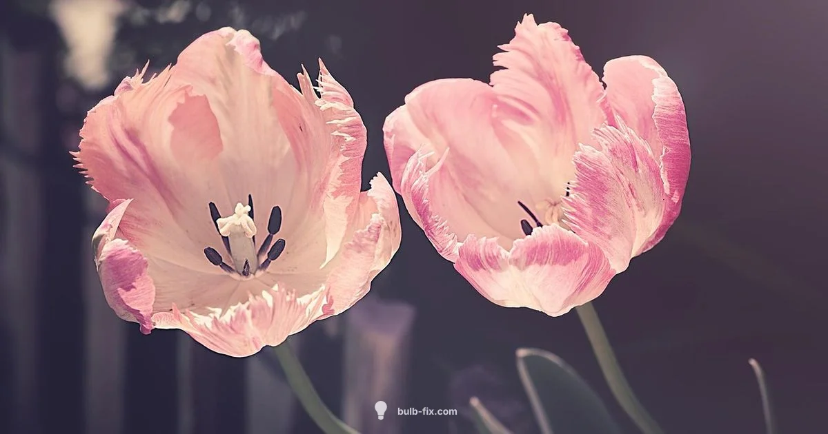 Bulb Basics Guide Bulb Basics Guide - Bulb Fix