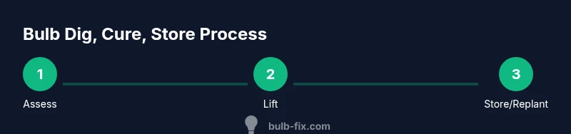 Process diagram showing steps to safely dig, cure, and store garden bulbs