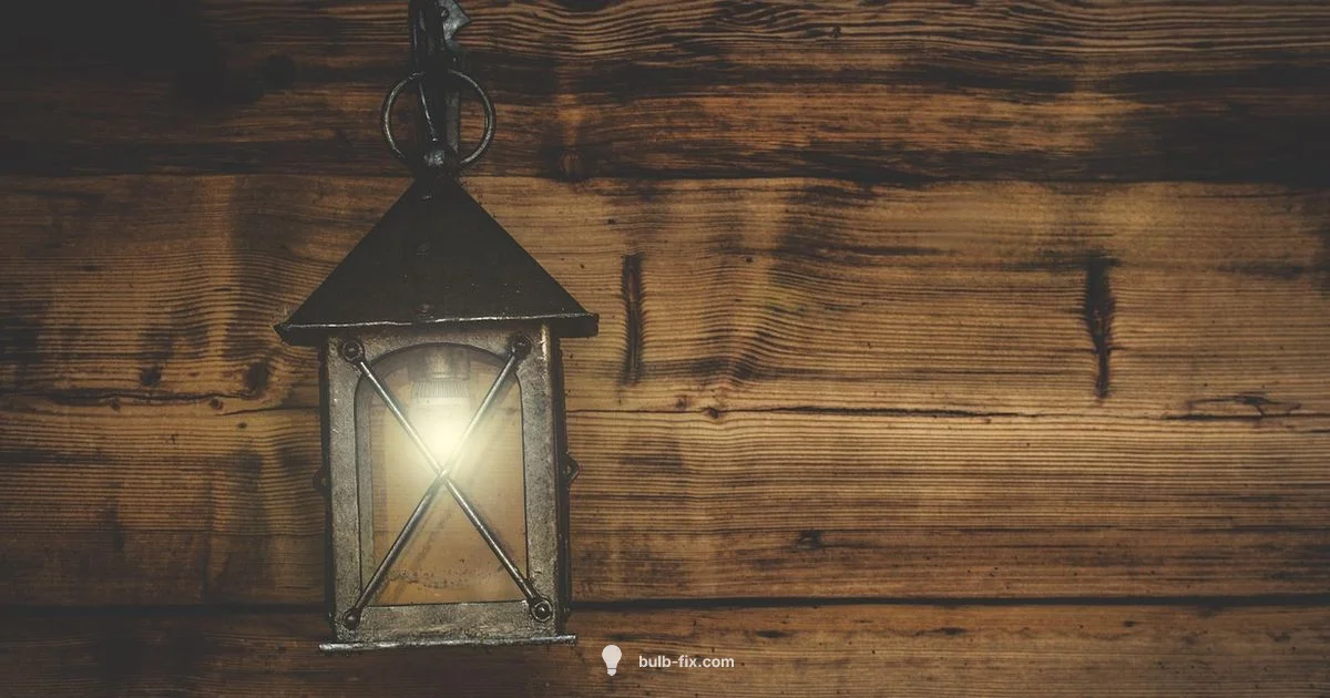 Lamp Basics Lamp Basics - Bulb Fix