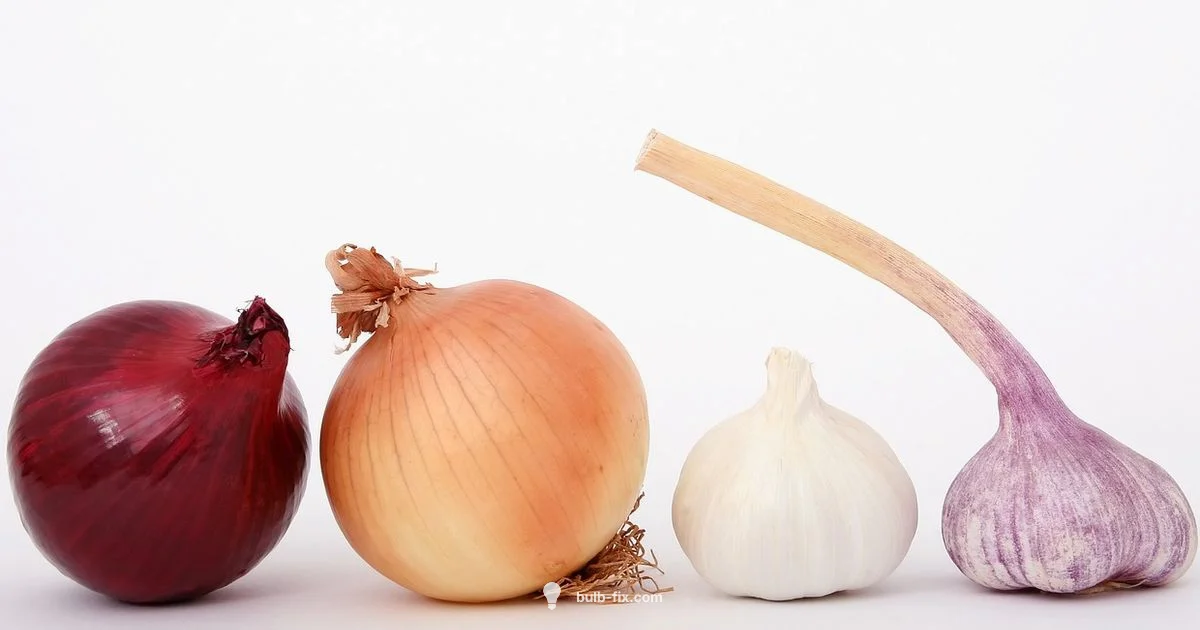 Edible Bulbs - Bulb Fix