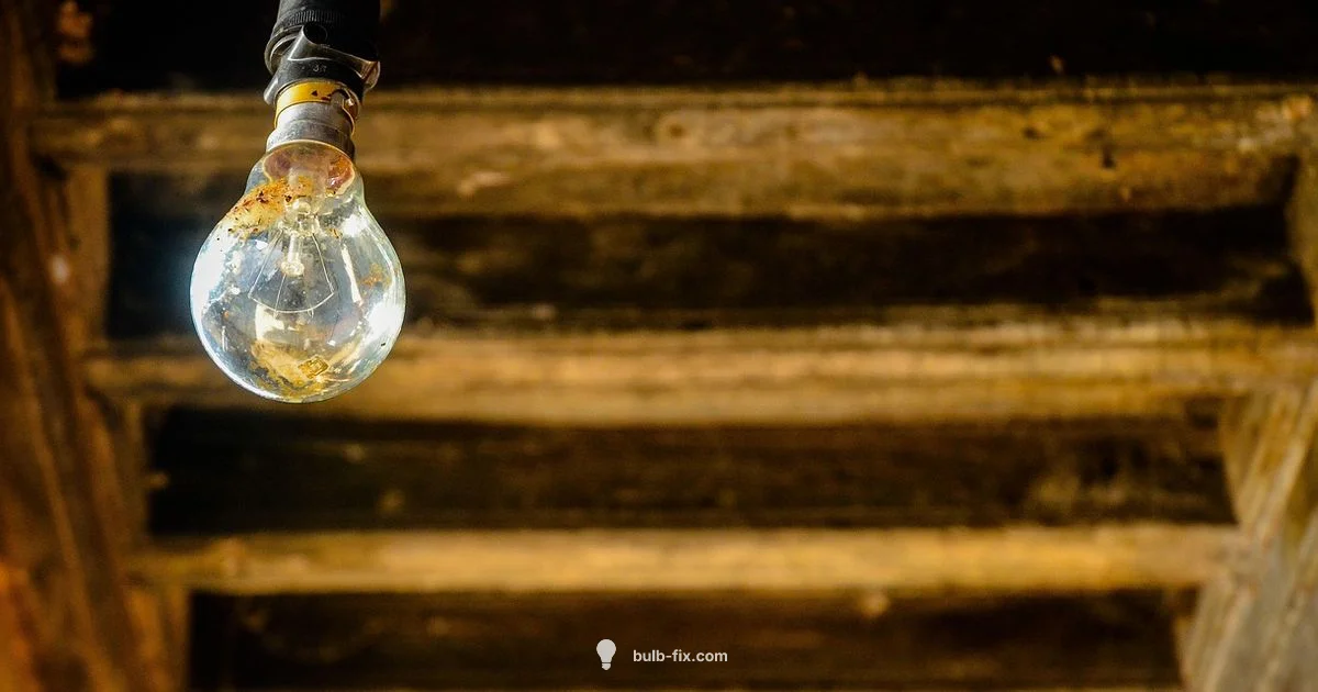 Fridge Bulb Guide Fridge Bulb Guide - Bulb Fix