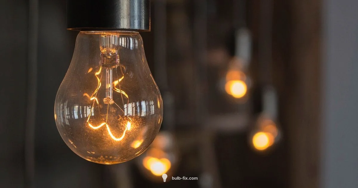 Types of Bulbs - Bulb Fix