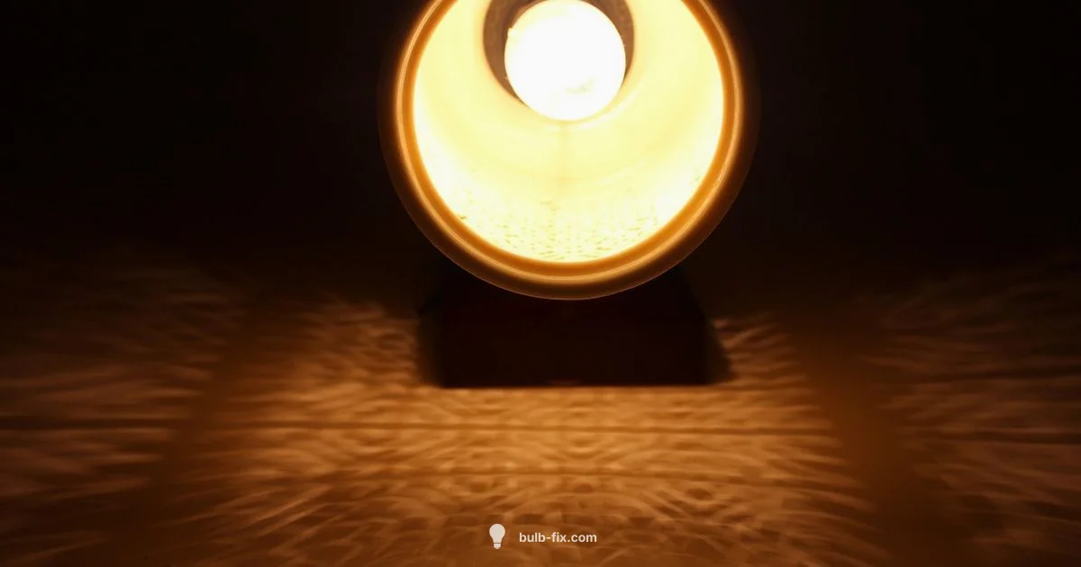 C9 Bulbs Guide C9 Bulbs Guide - Bulb Fix