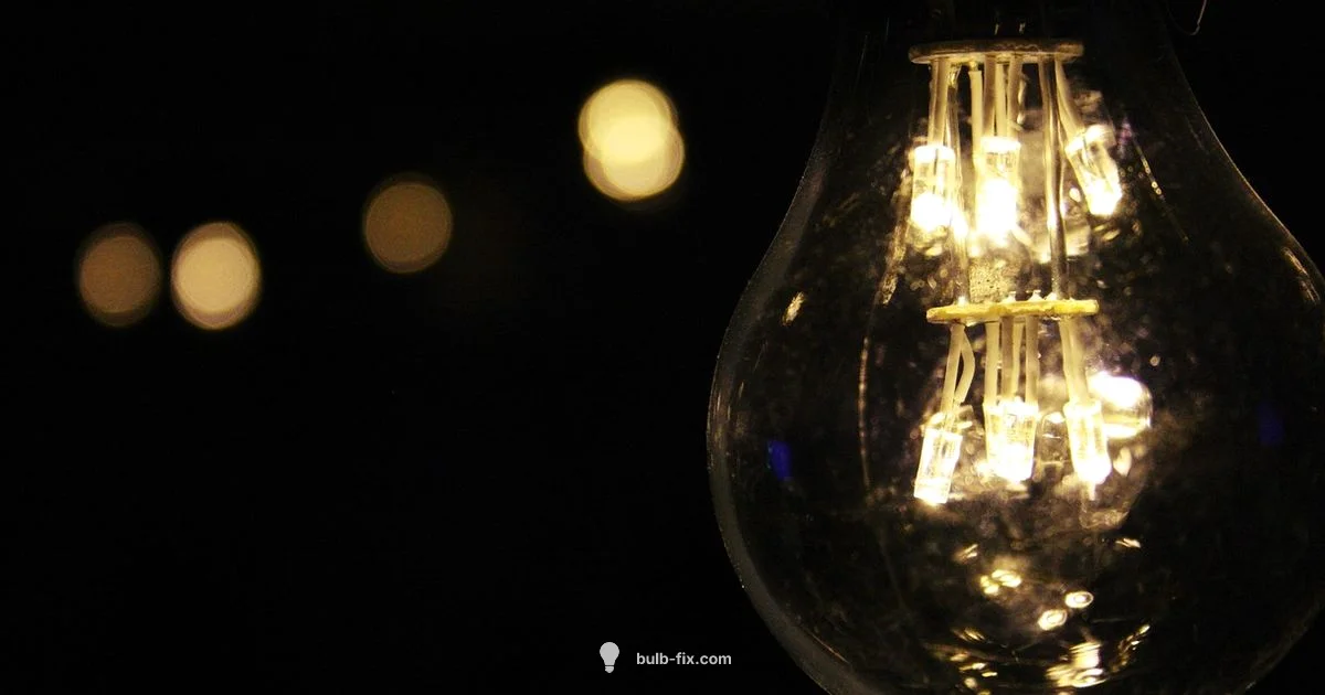 Bulb in Holder - Bulb Fix