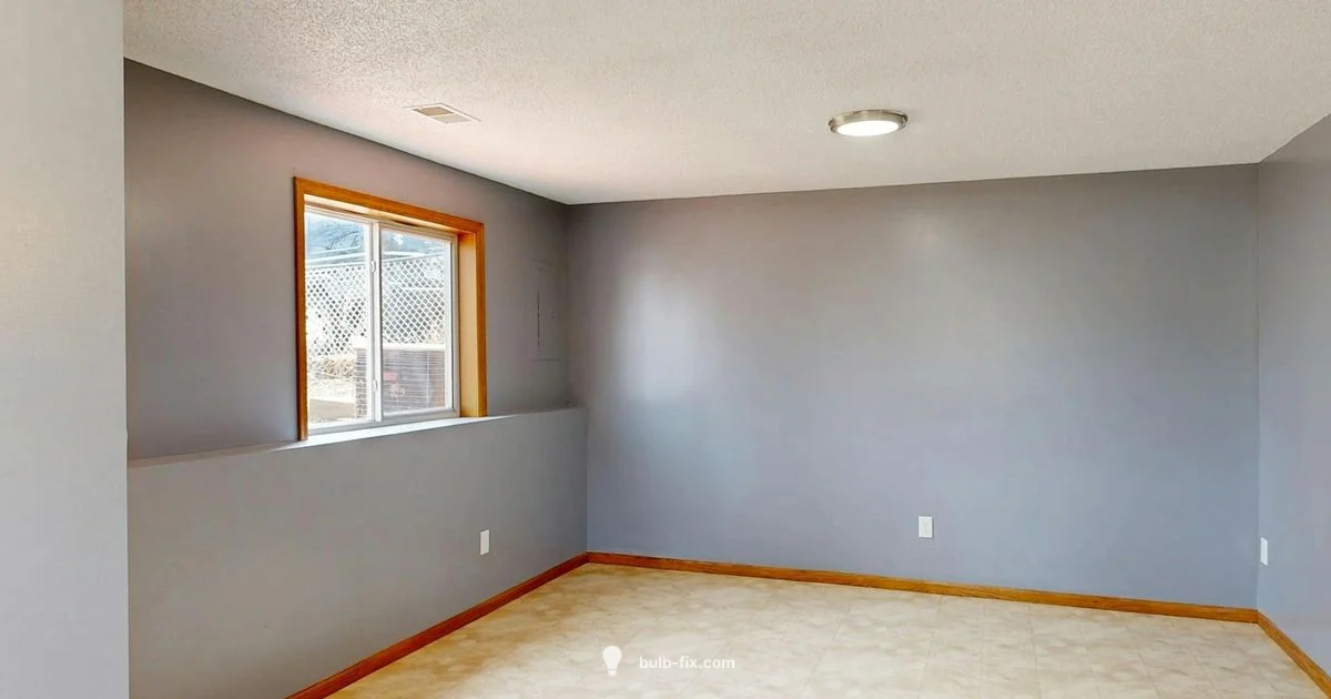 Bulb Basics - Bulb Fix