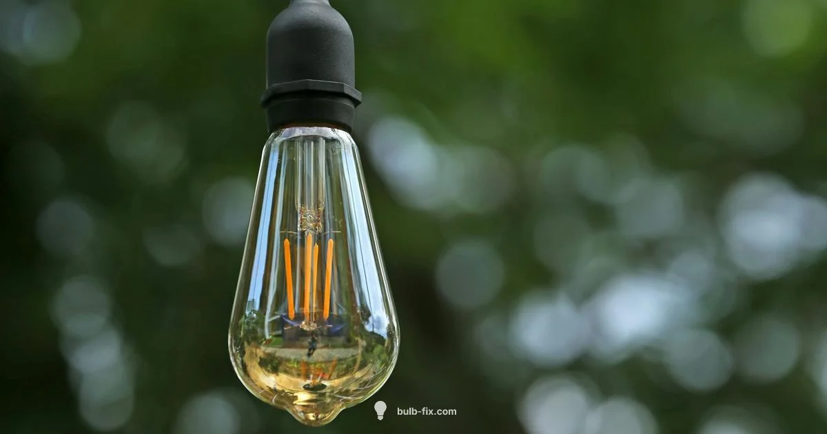 Bulb Size Guide - Bulb Fix