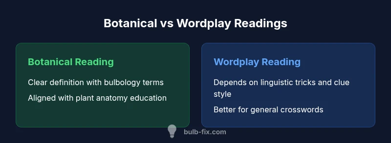 Infographic comparing botanical and wordplay interpretations of the bulb-like root crossword clue