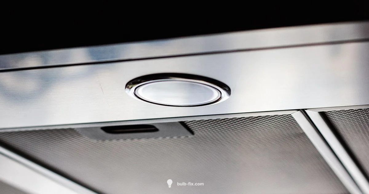 Extractor Bulb Removal - Bulb Fix