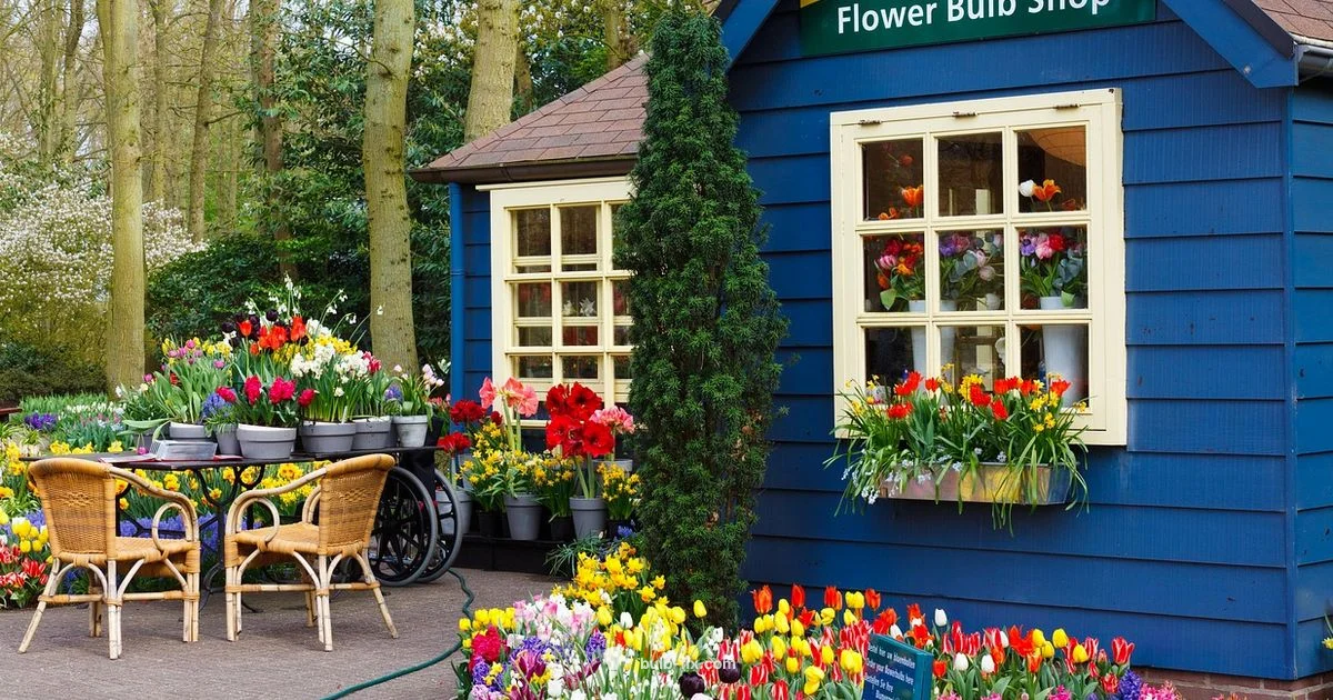 Bulbs vs Flowers - Bulb Fix