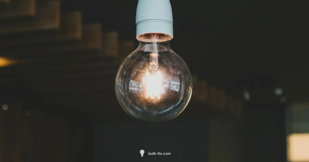 Daylight Bulb Color - Bulb Fix