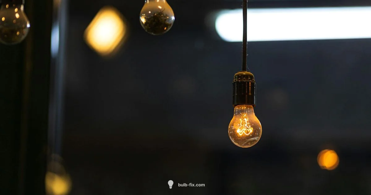 Edison Bulbs at Home Depot - Bulb Fix