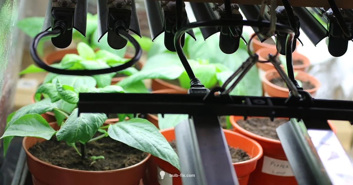 Grow Light Basics Grow Light Basics - Bulb Fix