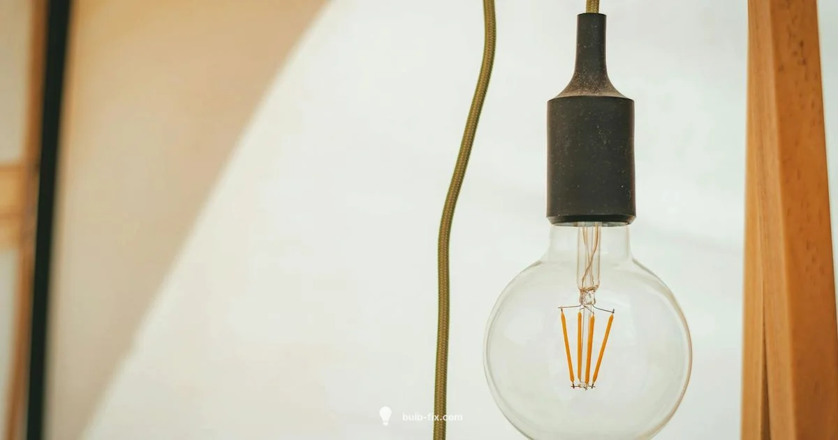 Bulb Size Guide - Bulb Fix