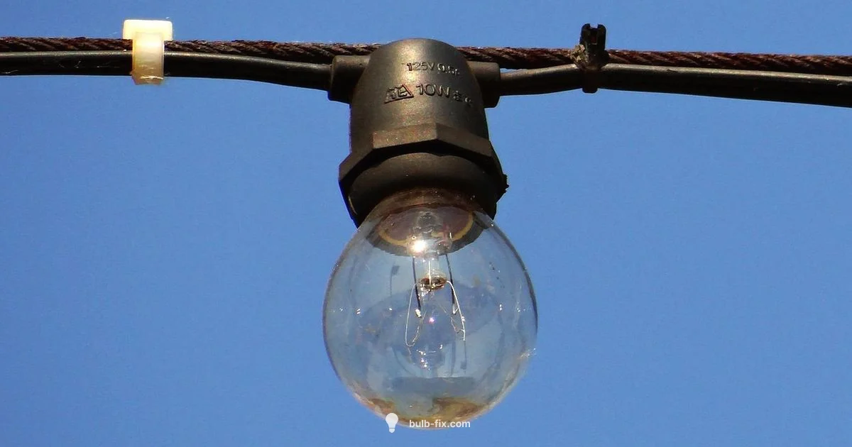 Outdoor Bulb Guide - Bulb Fix