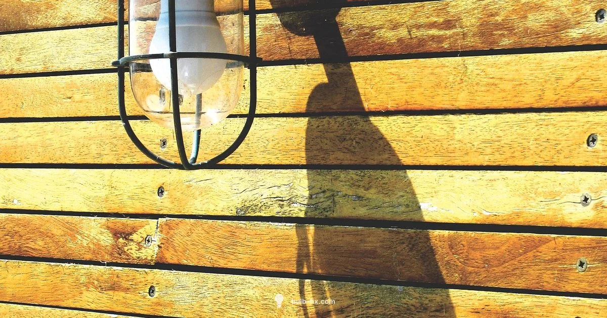 Energy Efficient Lighting - Bulb Fix