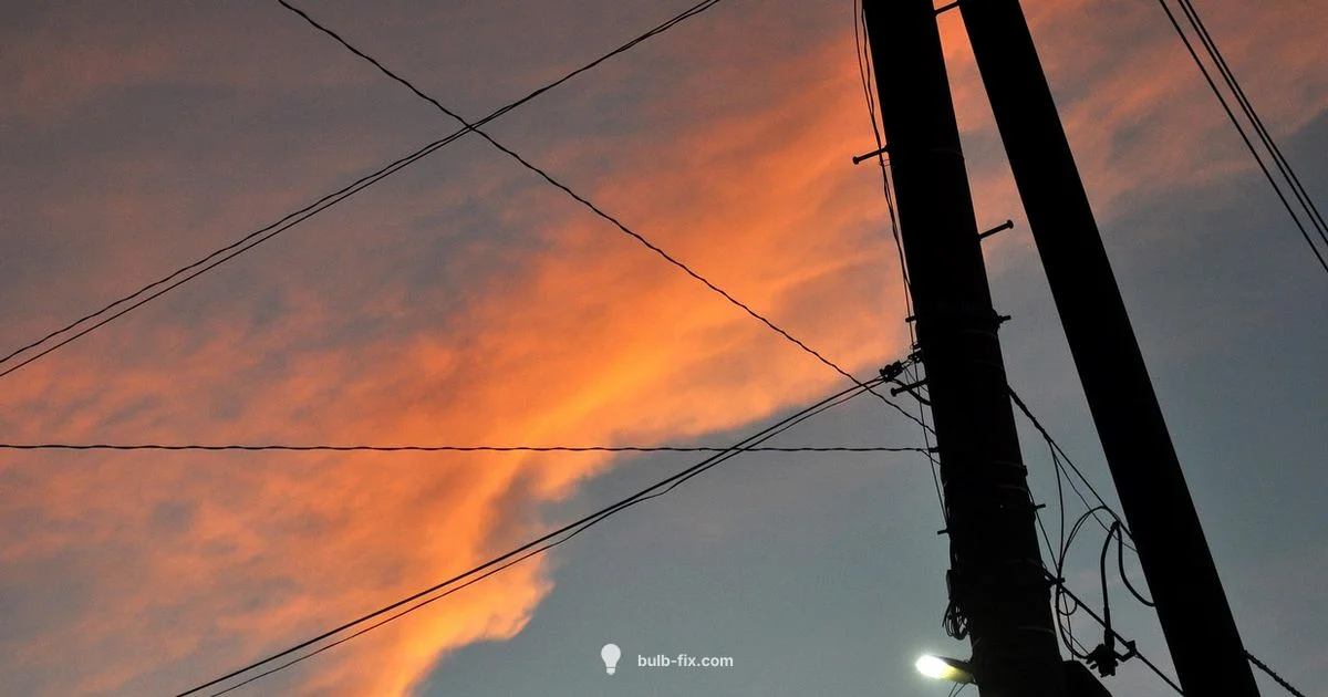 Outdoor LED Guide Outdoor LED Guide - Bulb Fix