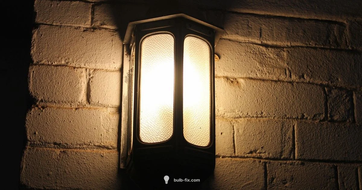 B Base Bulbs - Bulb Fix