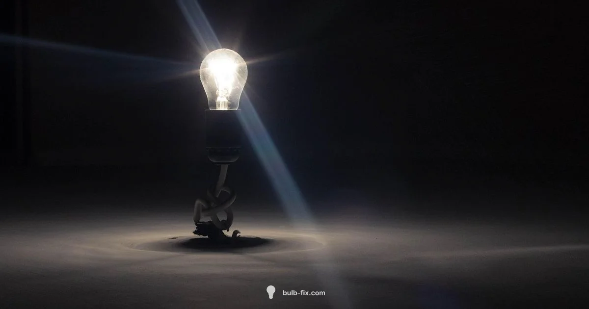 Bulb Extender Guide Bulb Extender Guide - Bulb Fix