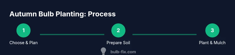 Process diagram for autumn bulb planting