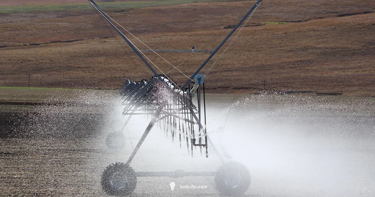 Safe Ear Irrigation Safe Ear Irrigation - Bulb Fix