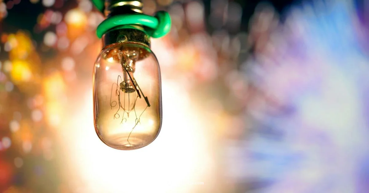 Bulb Type Guide - Bulb Fix