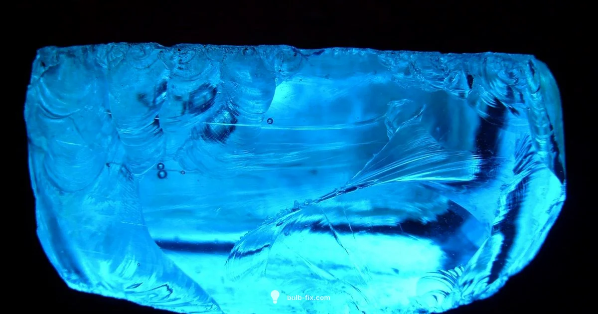 Bulb Decorating Tips - Bulb Fix